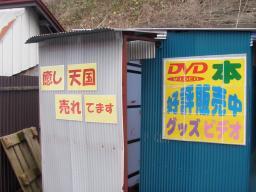 P20110504_104534_599