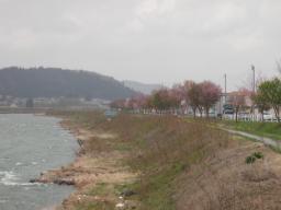 P20110504_124006_629