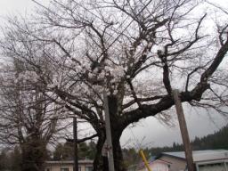 P20110504_140028_639