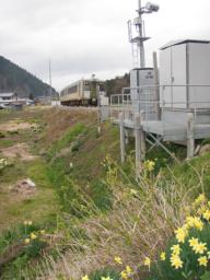 P20110504_153031_647