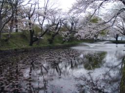 P20110504_155546_648