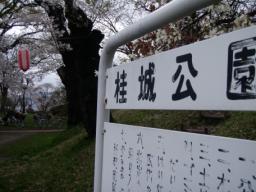 P20110504_155615_650