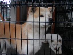 P20110504_160136_669