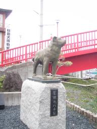 P20110504_160253_678