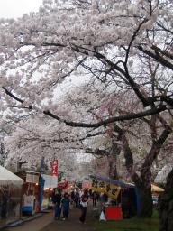 P20110504_161010_683