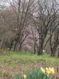 P20110504_162246_694