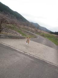 P20110504_172042_718