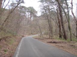 P20110504_172712_722