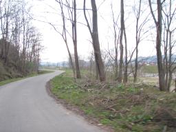 P20110504_175956_738