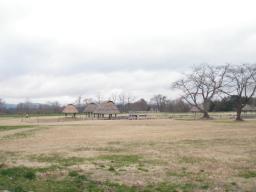 P20110504_180809_742