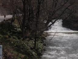 P20110505_100043_779