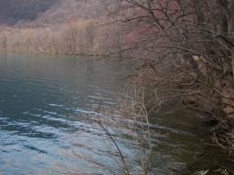 P20110505_111636_813