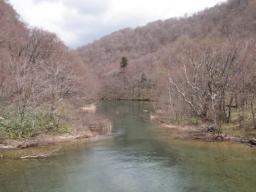 P20110505_120116_822