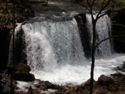 P20110505_120612_823