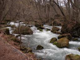 P20110505_122956_849