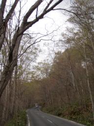 P20110505_123325_850