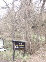 P20110505_130140_858