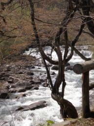 P20110505_140225_881