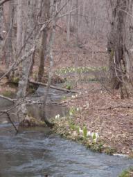 P20110505_144032_888