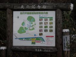 P20110505_162428_932