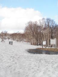 P20110505_170223_951