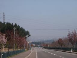 P20110506_083156_997