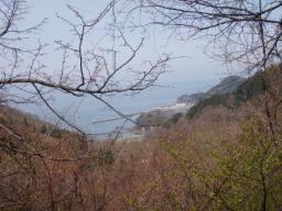 P20110506_104312_1037