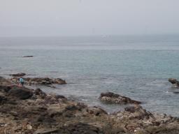 P20110506_105517_1046