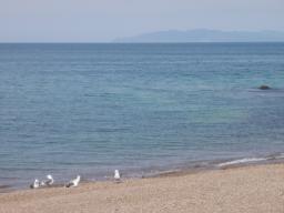 P20110506_110500_1057