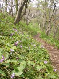 P20110506_113124_1073