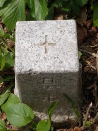 P20110506_113310_1080