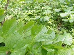 P20110506_113505_1082