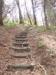 P20110506_113842_1087