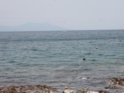 P20110506_121019_1116