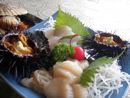 P20110506_125345_1124