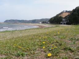 P20110506_134339_1139