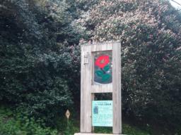 P20110506_134557_1143