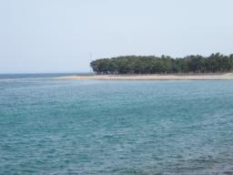 P20110506_140047_1147