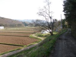 P20110506_150630_1165