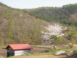 P20110506_151608_1171