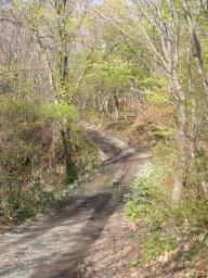 P20110506_153902_1179