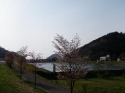 P20110506_154359_1182