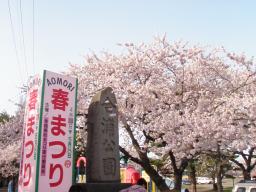 P20110506_162940_1187