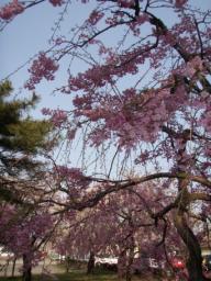 P20110506_163034_1190