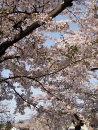 P20110506_163057_1191