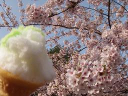 P20110506_163602_1193