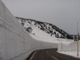 P20110503_162427_502