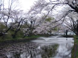 P20110504_155554_649